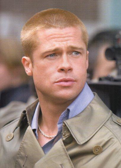 LAMINA V48386: Brad Pitt