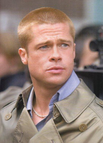 LAMINA V48386: Brad Pitt