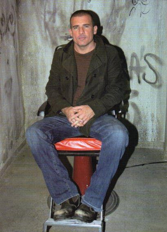 LAMINA V48396: Dominic Purcell