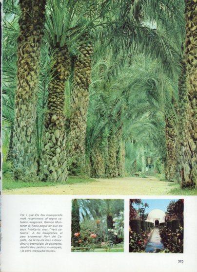 LAMINA V48866: Vistes Hort del Capella, Elx