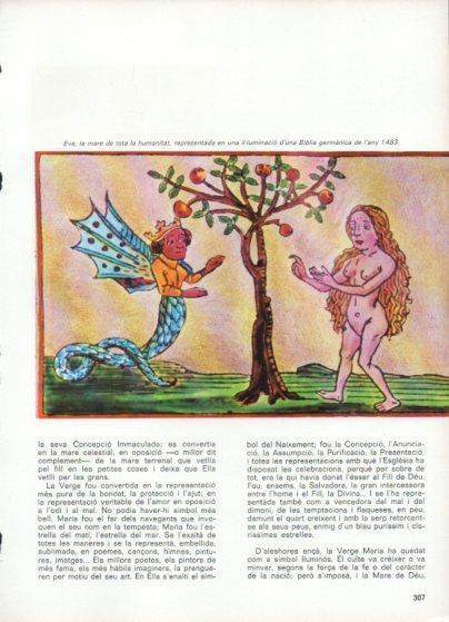 LAMINA V48874: Eva representada d'una biblia germanica 1483