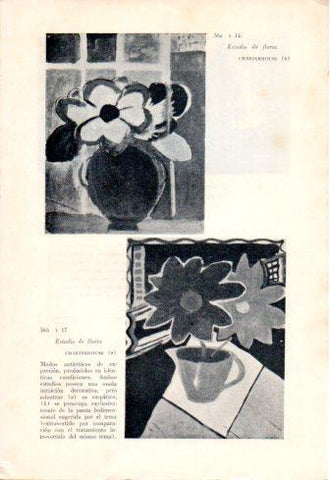 LAMINA V48790: Estudios de flores por Charterhouse School