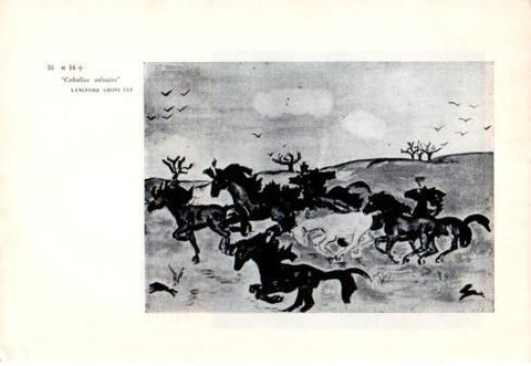 LAMINA V48805: Caballos Salvajes por Langford Grove School