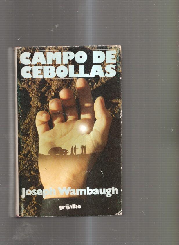 Campo de Cebollas