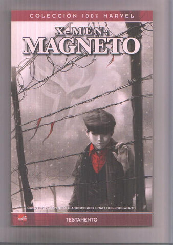 Panini: Coleccion 100%: X Men: Magneto numero 1: Testamento 