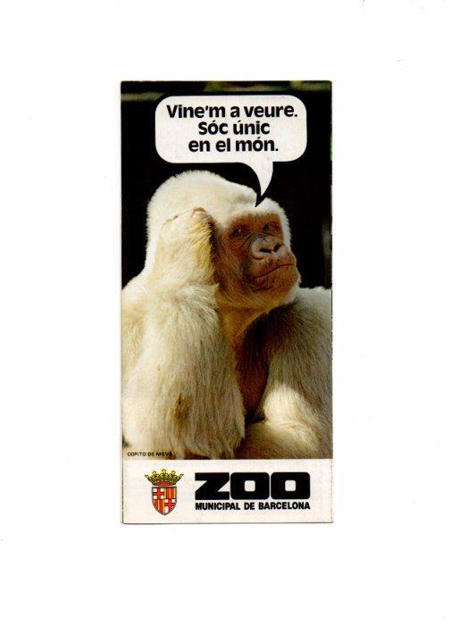 V49118: Folleto publicitario Zoo Municipal de Barcelona