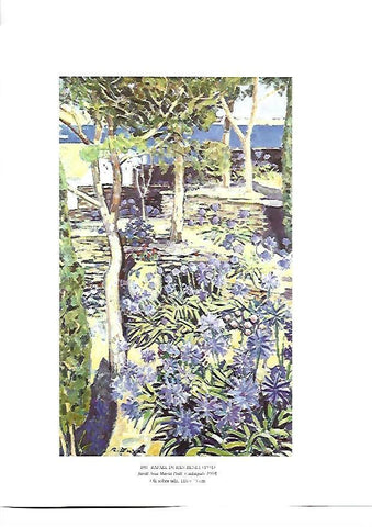 LAMINA 39164: Jardi Ana Maria Dali. Cadaques, por Rafael Duran