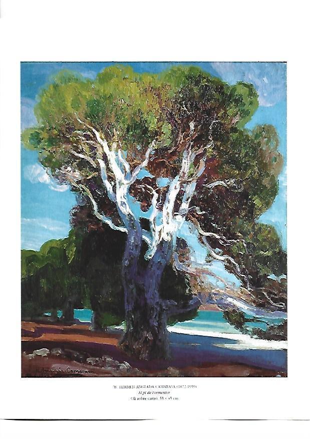 LAMINA 39154: El pi de Formentor, por Hermen Anglada-Camarasa