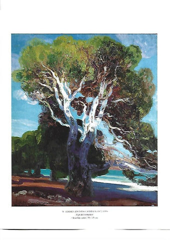 LAMINA 39154: El pi de Formentor, por Hermen Anglada-Camarasa