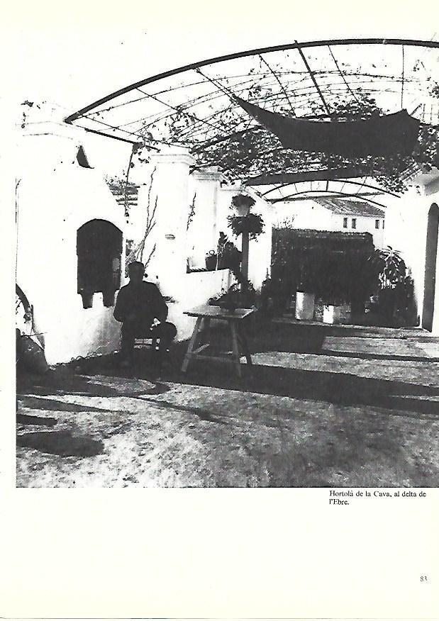 LAMINA 38884: Agricultor de la Cava, en el delta del Ebro