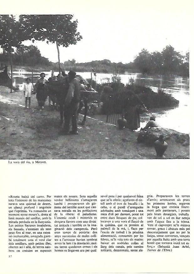 LAMINA 38883: Orilla del rio en Miravet