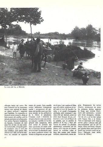 LAMINA 38883: Orilla del rio en Miravet