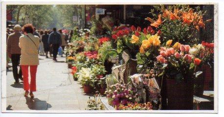 V49490: Vista de las paradas de flores de Las Ramblas en Barcelona