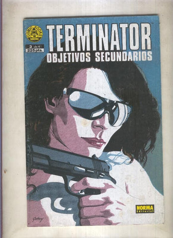 Terminator objetivos secundarios numero 3