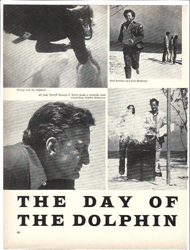 LAMINA 39553: The day of the dolphin