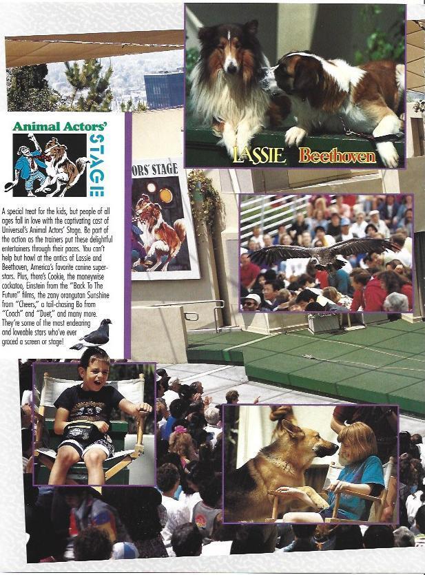LAMINA 39576: Animal Actors Stage