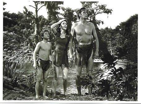 POSTAL A6561: La familia de Tarzan en la selva