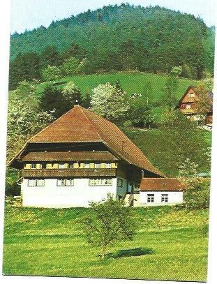 POSTAL A6627: Casa en la montaña