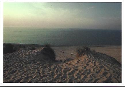 POSTAL A6646: Indiana Dunes State Park