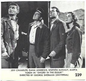 LAMINA 40059: Escena de Sword in the Desert