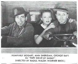 LAMINA 39897: Humphrey Bogart en The drive by night
