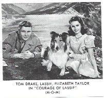 LAMINA 39949: Elisabeth Taylor en Courage of Lassie
