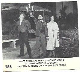 LAMINA 39882: James Dean en Rebelde sin causa