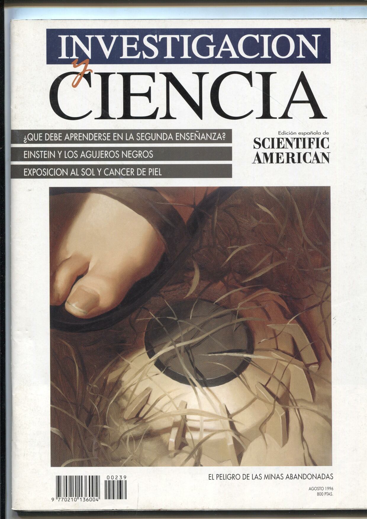 Investigacion y ciencia numero 239: Einstein y los agujeros negros