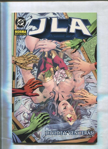 Norma: JLA: Divide y venceras numero 1