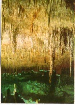POSTAL PV13252: Formaciones rebeldes, Cuevas del Drach, Mallorca
