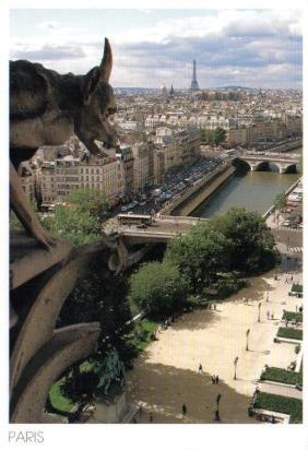 POSTAL PV13273: Panorama du haut de Notre Dame, Paris