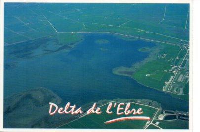 POSTAL PV13270: Vista aerea de L'Encanyissada. Parc Natural del Delta de l'Ebre