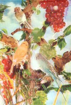 POSTAL PV13210: Pajaros en una vid. R-138