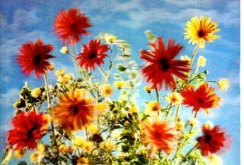 POSTAL PV13208: Ramo de flores. R-249