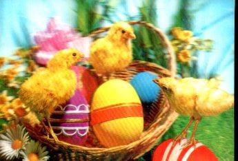 POSTAL PV13205: Huevos y pollitos de Pascua. SSP-127