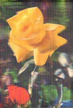 POSTAL PV13200: Una rosa amarilla.  R-244
