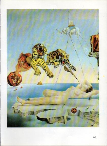 LAMINA V50243: S. Dali. Somni causat pel vol d'una abella la voltant d'una magrana un segon abans de despertar