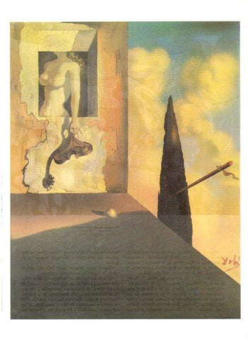 LAMINA V50201: Salvador Dali. Instrument masoquista