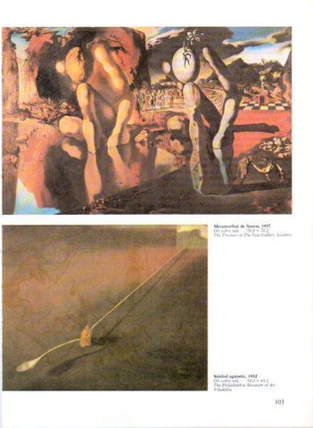 LAMINA V50222: Salvador Dali. Metamorfosi de Narcis i Simbol agnostic