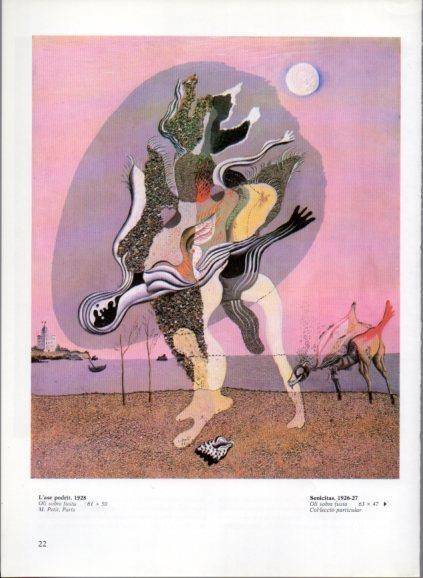 LAMINA V50183: Salvador Dali. L'ase podrit