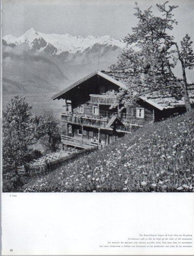 LAMINA V50146: Austria. Casa campesina en pendiente de la montaña