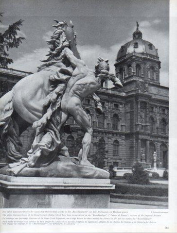 LAMINA V50173: Austria. Estatuas de los Rossebandiger