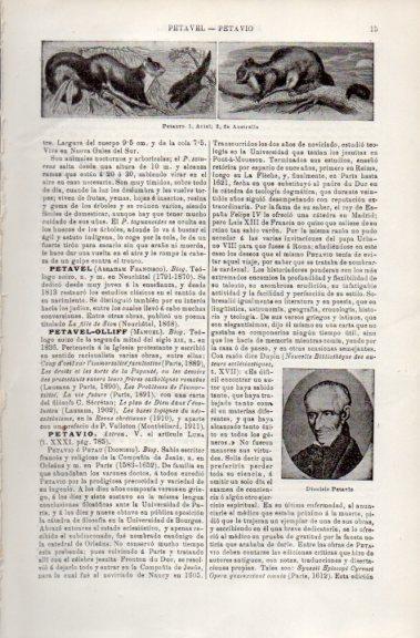 LAMINA V49655: Petauro y Dionisio Petavio