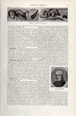 LAMINA V49655: Petauro y Dionisio Petavio