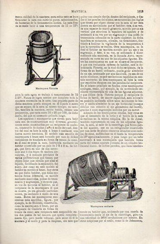LAMINA V49973: Mantequera Victoria