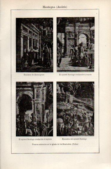 LAMINA V49977: Frescos de la iglesia de los Ermitaños por A. Mantegna