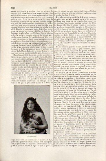 LAMINA V50008: Jefe maori