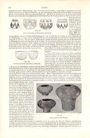 LAMINA V49735: Ceramca de Butmir, Bosnia