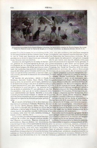 LAMINA V49726: Pintura mural de C. R. Knight, Museo Americano Historia Natural