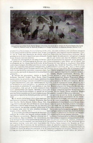 LAMINA V49726: Pintura mural de C. R. Knight, Museo Americano Historia Natural